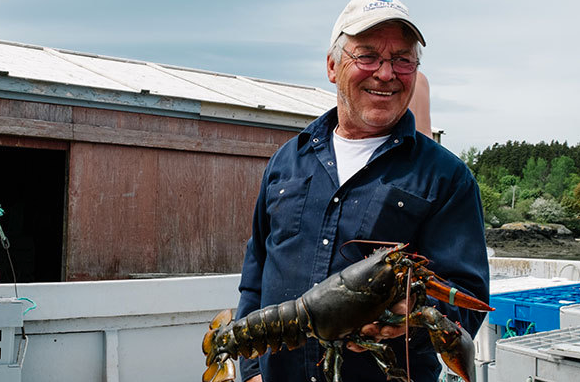 lobster